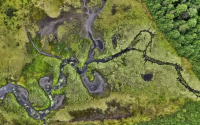 Aquifer Aquifer
