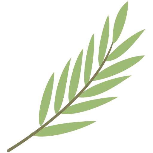 leaf Investigation